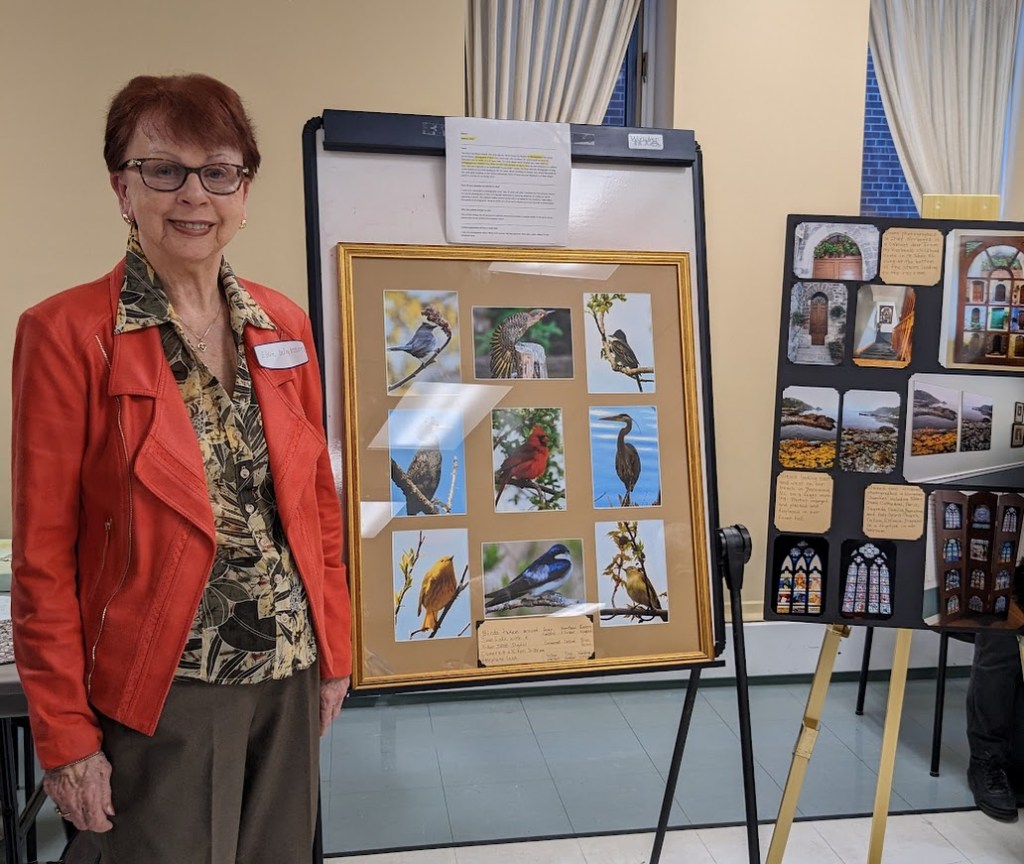 E. with bird photographs made using telephoto