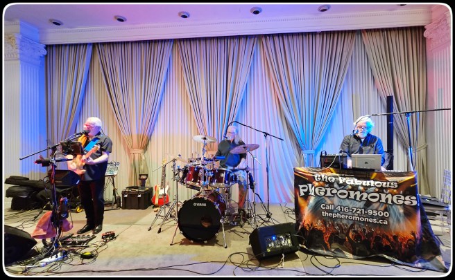 a great band played danceable music